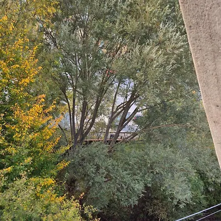 Apartment Zia Peppa *